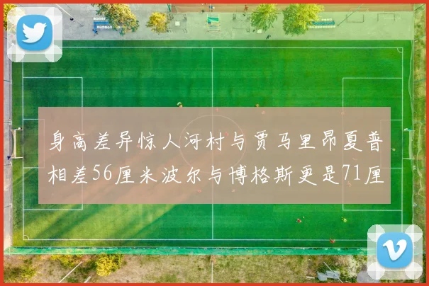 身高差异惊人河村与贾马里昂夏普相差56厘米波尔与博格斯更是71厘米